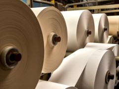 紙業觀察:增長悖論背后的價值失衡與博弈回旋