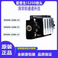 愛普生I3200噴頭 紙箱無版數碼印刷機愛普生噴頭