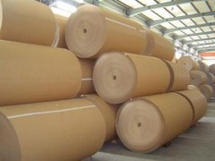 中國造紙協會正式發布《中國造紙工業2024年度報告》